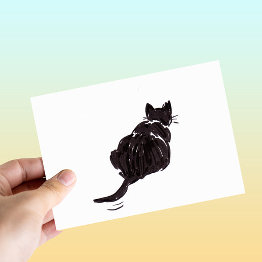 Cats Cats Cats Postcards