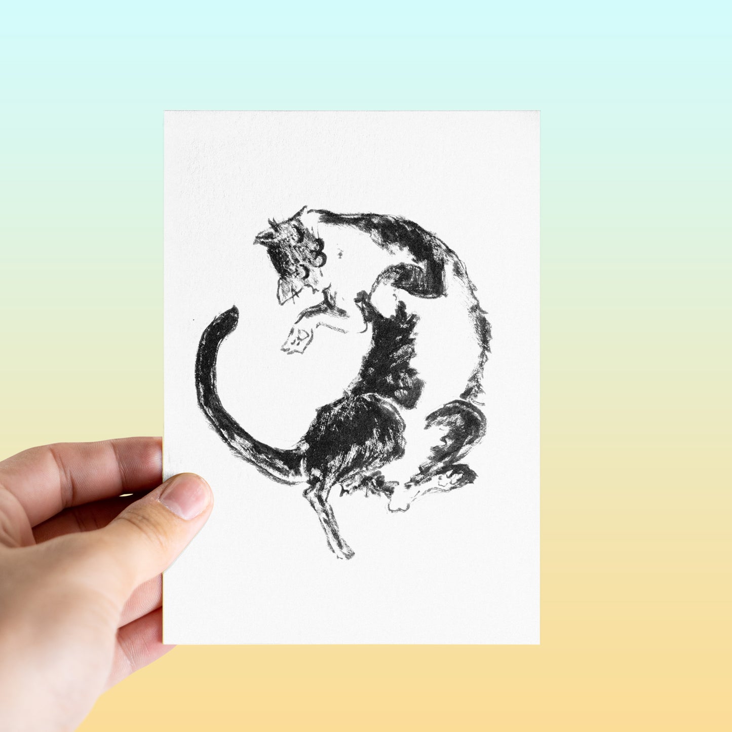 Cats Cats Cats Postcards